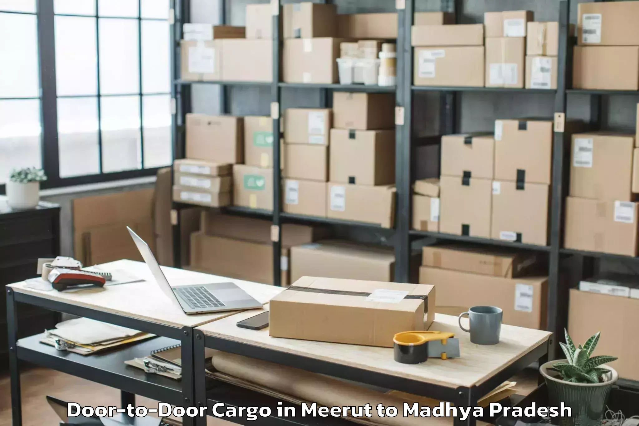 Meerut to Panna Door To Door Cargo